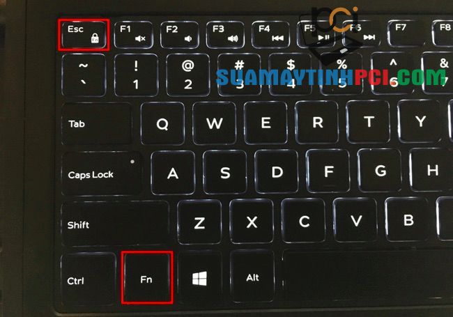 Tổ hợp phím Fn + ESC dùng để kích hoạt Fn Lock