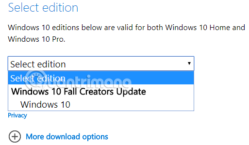 Chọn phiên bản Windows 10 cần tải