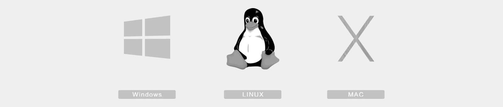 linux vs windows vs macOSX