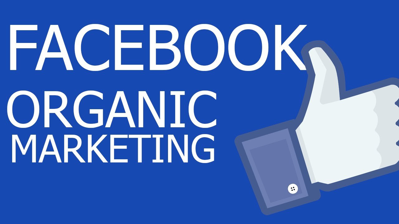 Káº¿t quáº£ hÃ¬nh áº£nh cho organic facebook marketing