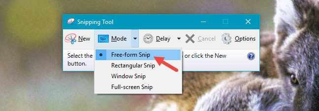 Hướng dẫn chụp màn hình bằng Free-form Snip