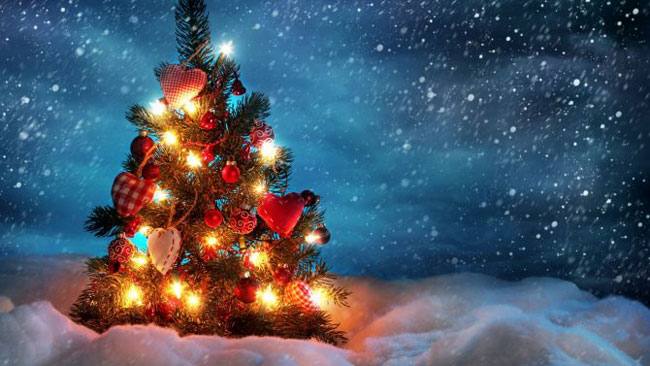 Hình nền cây thông Noel