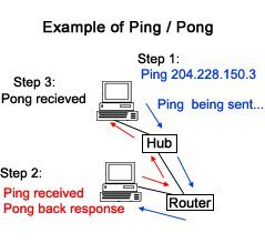 Ví dụ về Ping