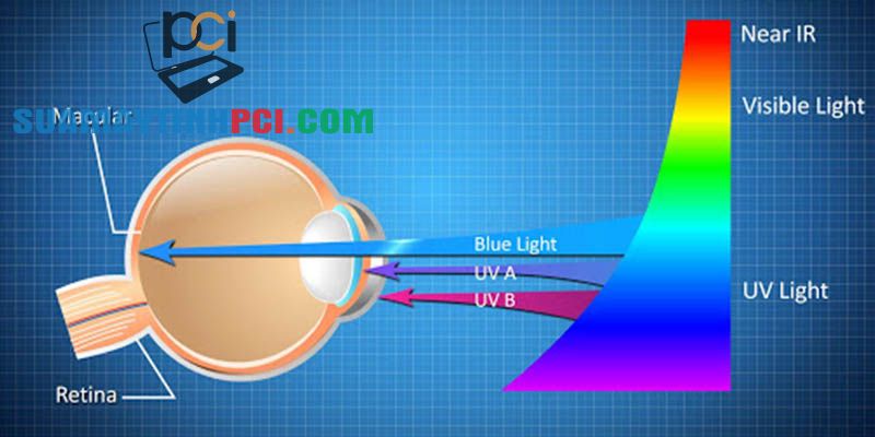 Công nghệ Low Blue Light của Asus là gì? - Thủ thuật máy tính