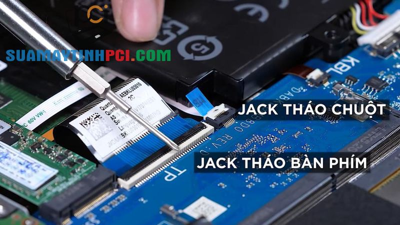 Hướng dẫn tháo lắp, thay ổ cứng SSD cho laptop tại nhà thành công - Tin Công Nghệ