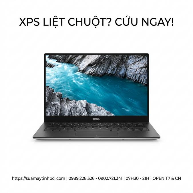 XPS LIỆT CHUỘT? CỨU NGAY!