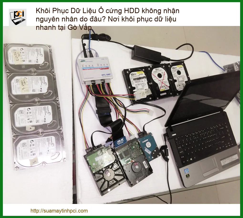 Khôi Phục Dữ Liệu Ổ Cứng HDD Không Nhận: Nguyên Nhân, Giải Pháp & Địa Chỉ Uy Tín Tại Gò Vấp