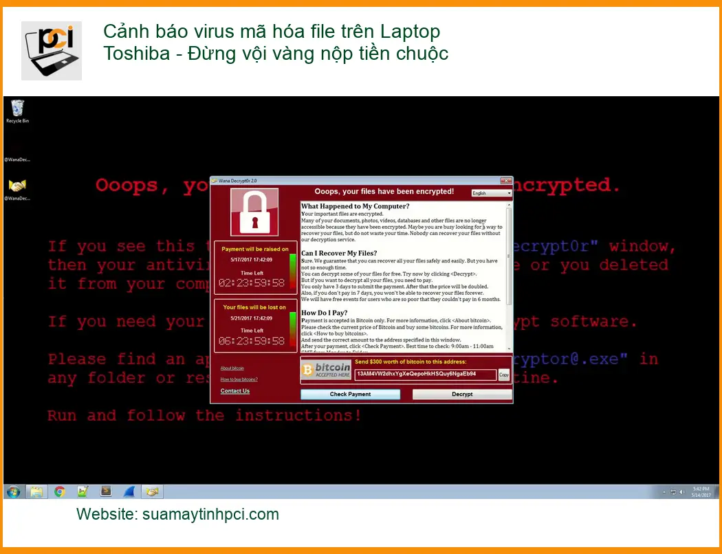 Sửa Laptop Cảnh báo virus mã hóa file Toshiba – Trung tâm hỗ trợ TPHCM