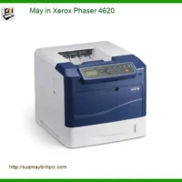 Máy in Xerox Phaser 4620 - Sửa Máy In Tại Nhà Nhanh TPHCM Giá Tốt