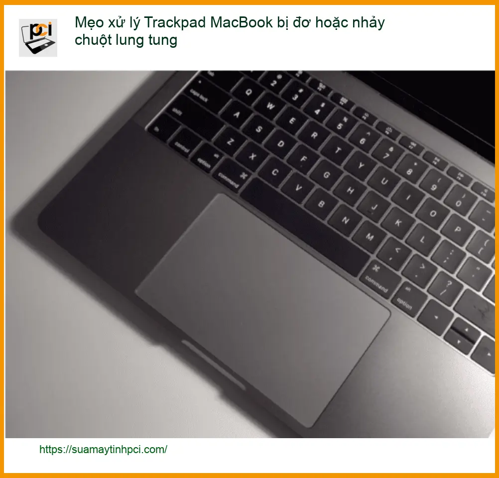 Macbook Mẹo xử lý Trackpad bị đơ, nhảy chuột – Trung tâm hỗ trợ TPHCM
