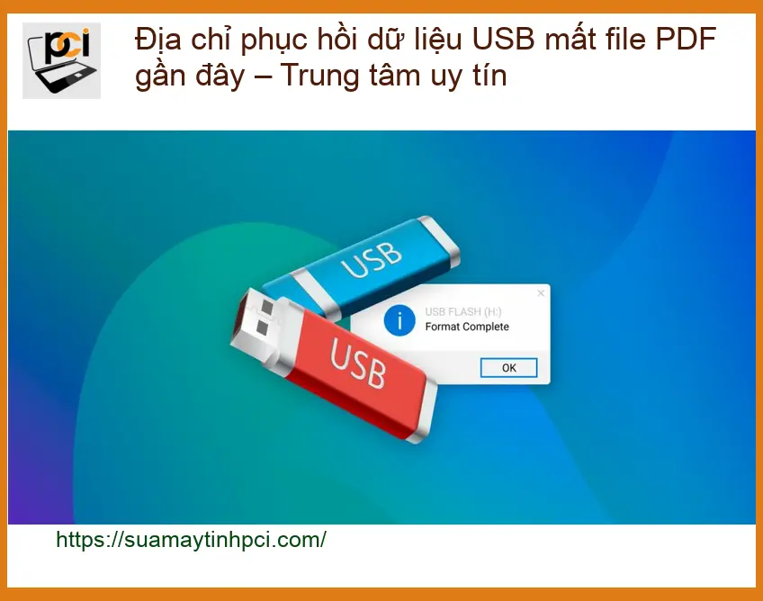 Khôi Phục Dữ Liệu USB mất PDF gần đây – Dịch vụ cứu dữ liệu lấy liền