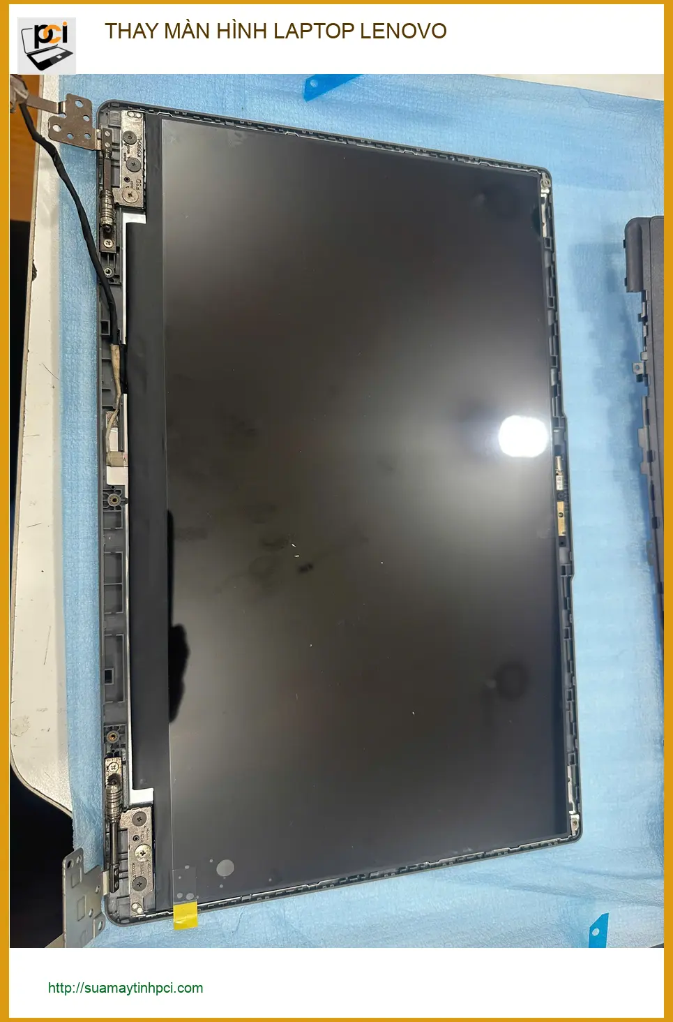 Anh Đạt tìm chỗ thay màn hình laptop Lenovo Gò Vấp bị sọc ngang