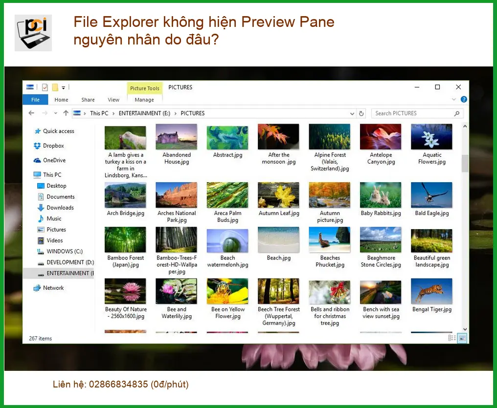Thủ thuật File Explorer không hiện Preview Pane – Nguyên nhân, xử lý nhanh