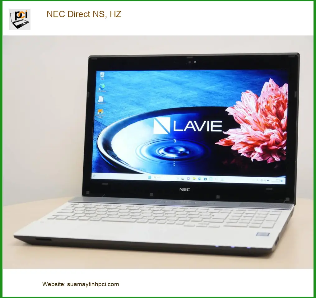 Webcam Laptop Nec NEC Direct NS, HZ