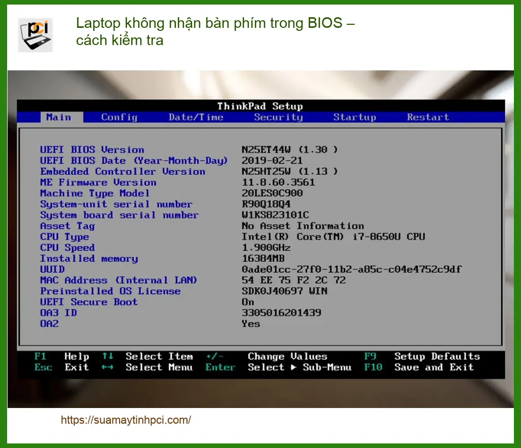 Laptop không nhận bàn phím trong BIOS – Cách tự xử lý tại nhà