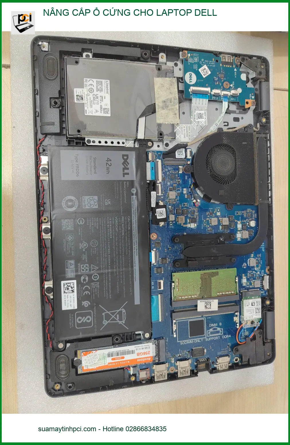Anh Quang nâng cấp ổ cứng laptop Dell tại Gò Vấp – Dịch vụ uy tín